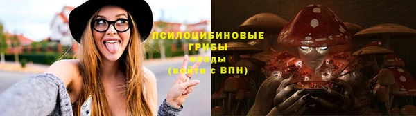 мяу мяу мука Арсеньев