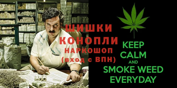 прущие грибы Аркадак
