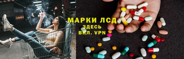 стаф Алексеевка
