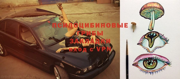 стаф Алексеевка