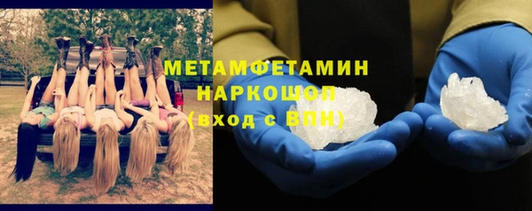 прущие грибы Аркадак